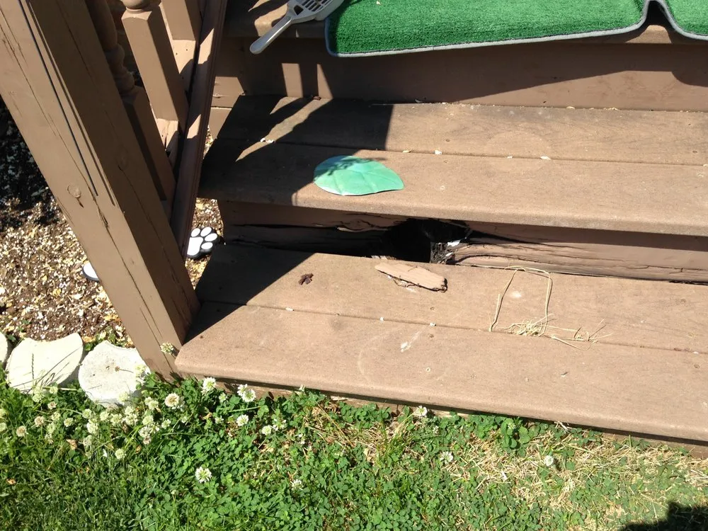 Slide of The Handy Helper