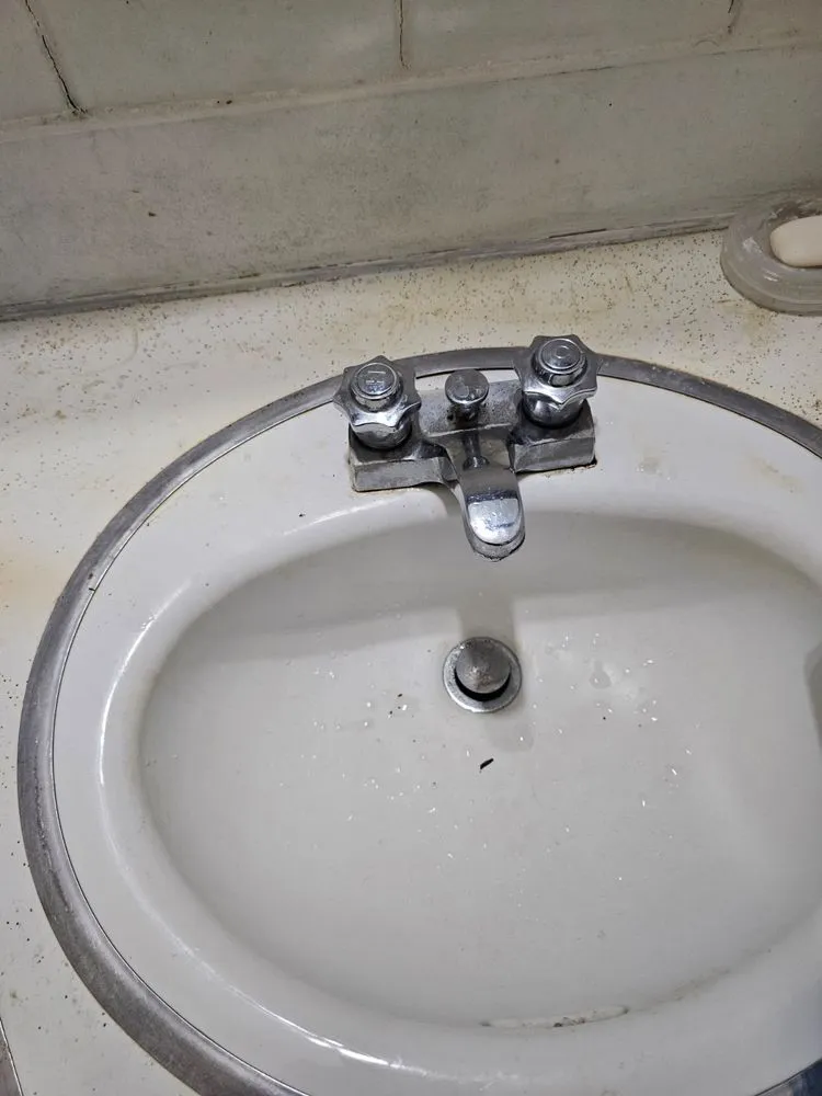 Slide of The Handy Panda