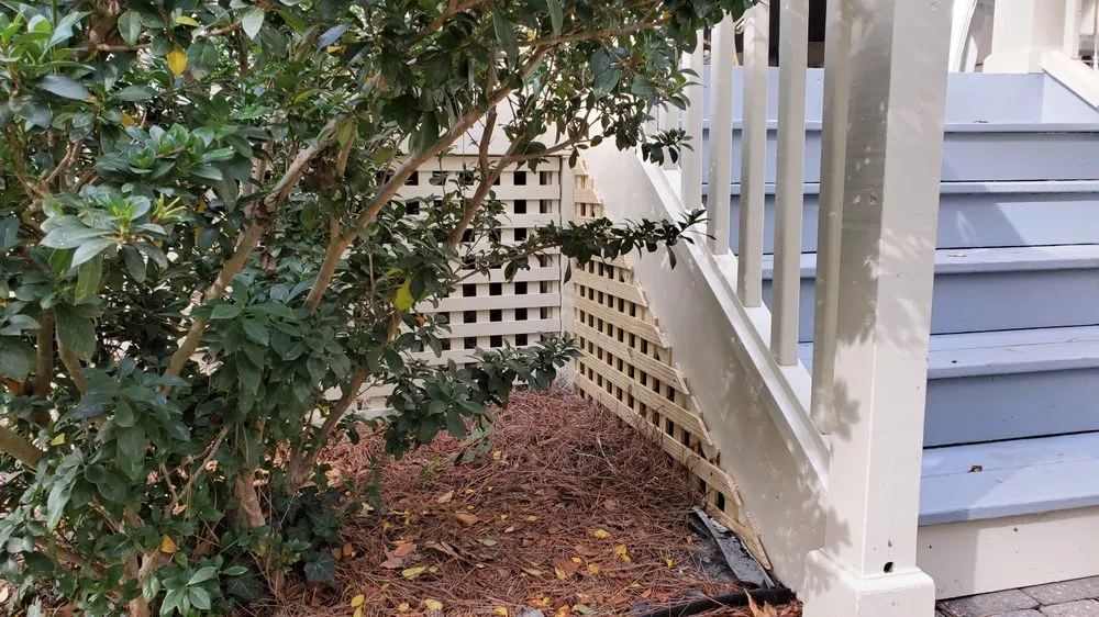 Slide of The Handy Patriot