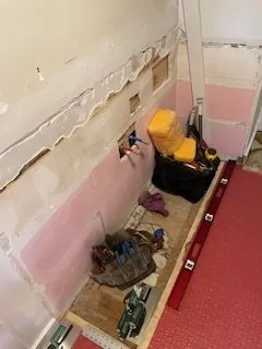 Slide of The Handy Rabbits