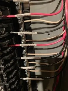 Slide of The Handy Rabbits