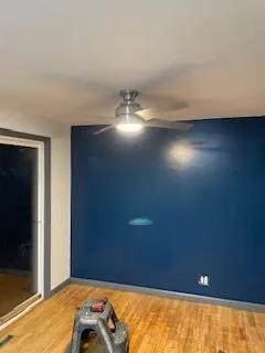 Slide of The Handy Rabbits