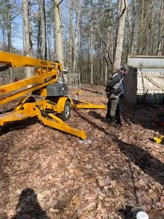 Slide of The Handy Rabbits