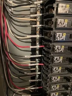 Slide of The Handy Rabbits