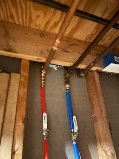 Slide of The Handy Rabbits