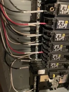 Slide of The Handy Rabbits