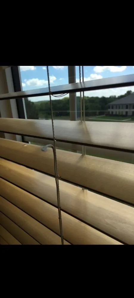 Slide of The HandyMan Can