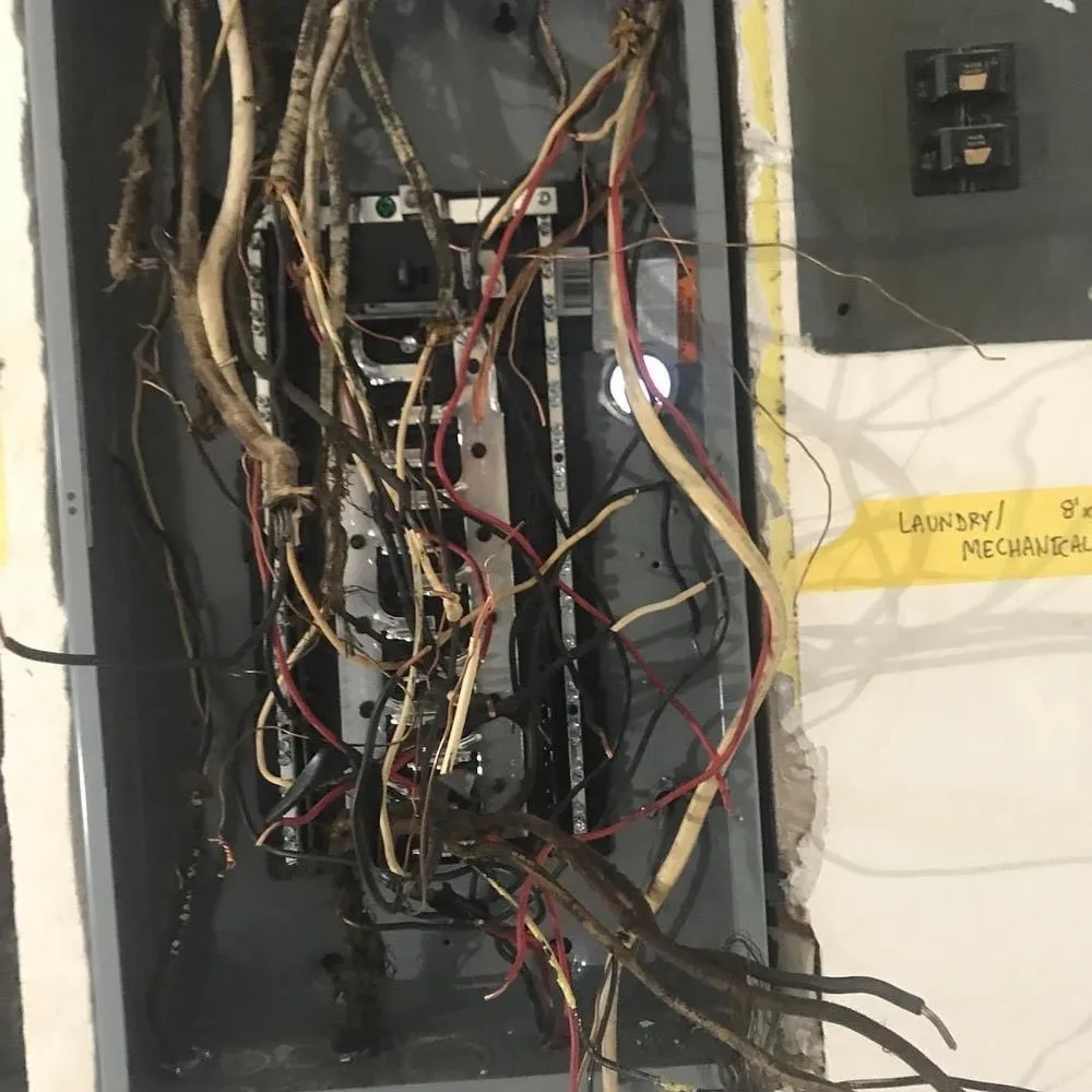 Slide of The Las Vegas Electrician