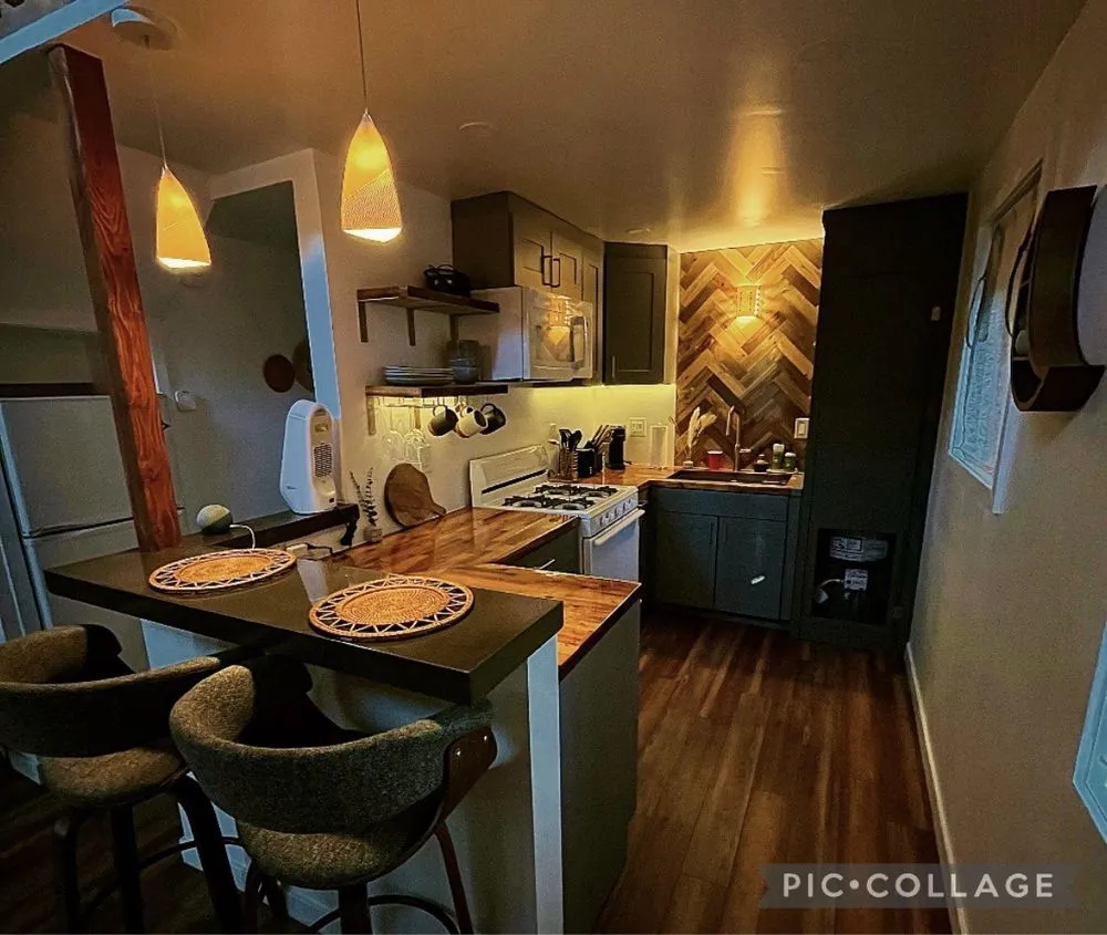 Slide of The Leon Electric