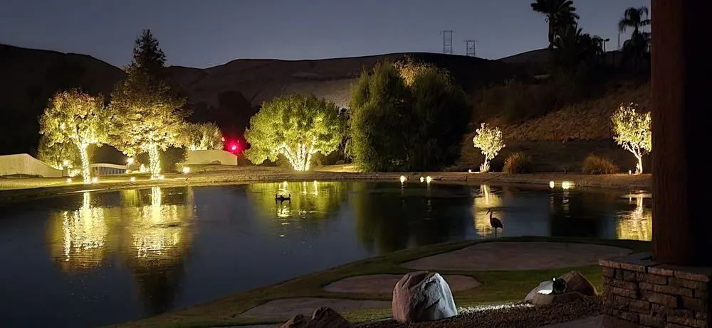 Slide of The Light Guys