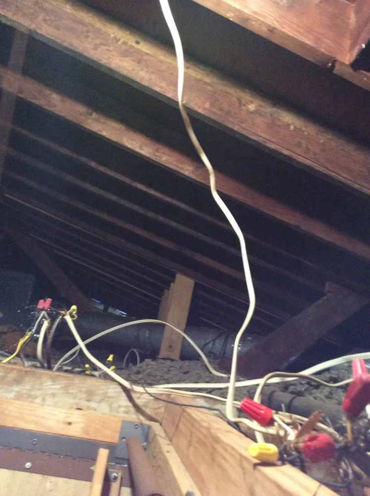 Slide of The Local Electrician