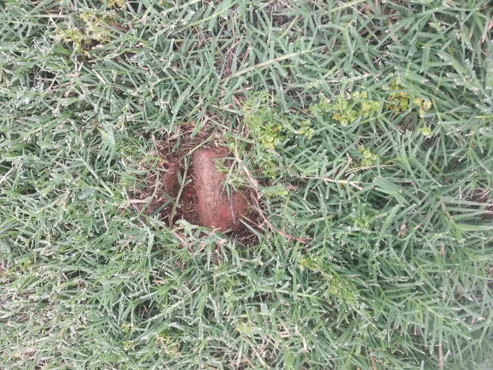 Slide of The Loving Group