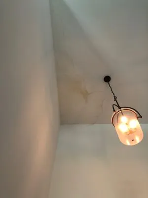 The Mattus Company, Inc Logo