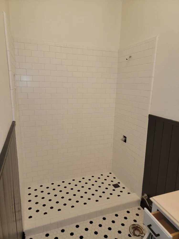 Slide of The Palavicini Group