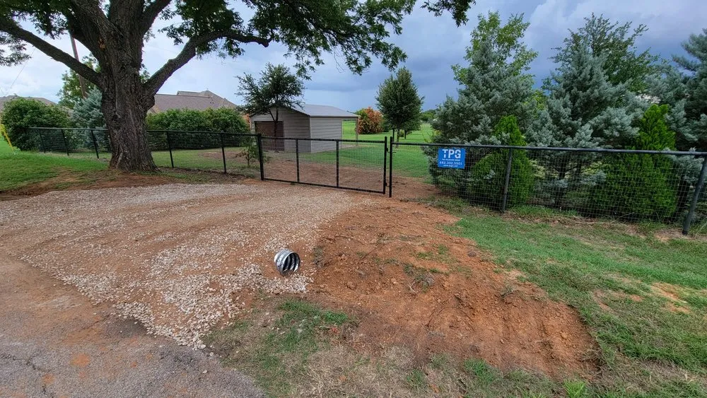 Slide of The Palavicini Group