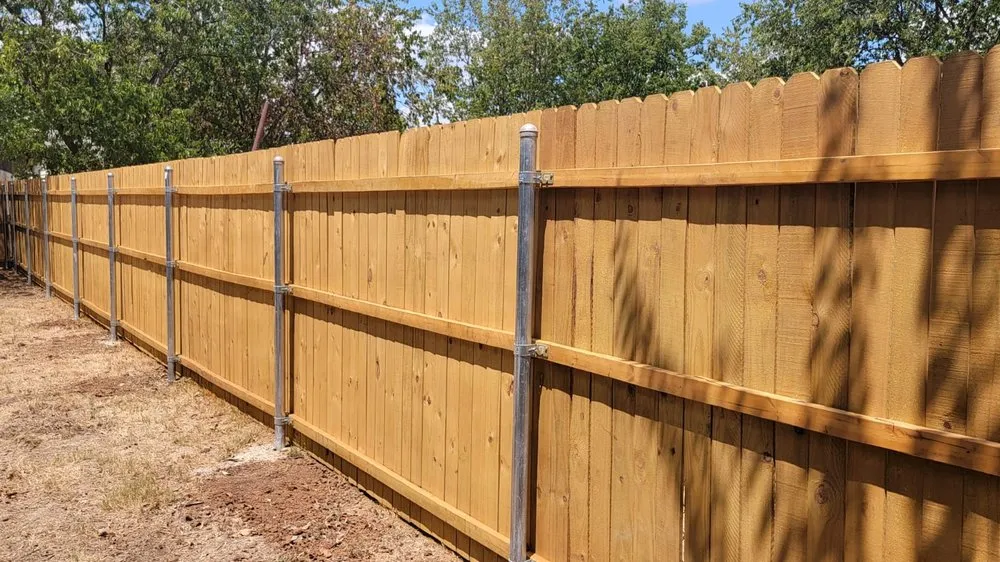 Slide of The Palavicini Group