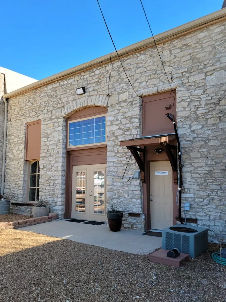 Slide of The Palavicini Group