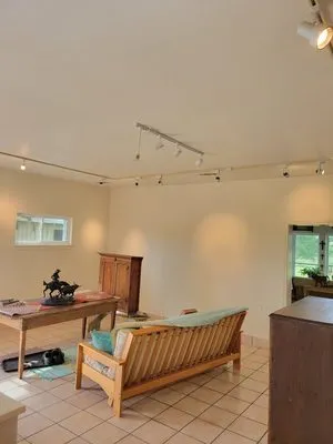 The Palavicini Group Logo