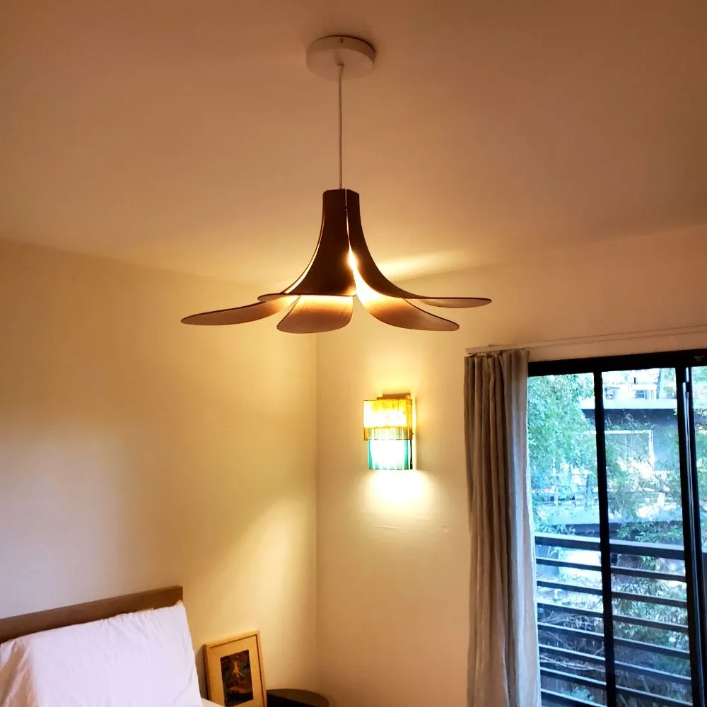 Slide of The Plug Electric