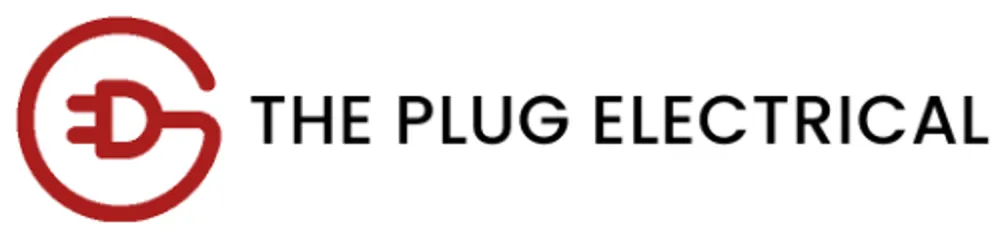 Slide of The Plug Electrical