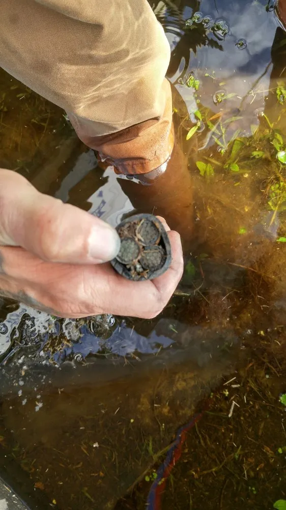 Reliable circuit breaker repair experts serving ,  - The Power House Electric Company