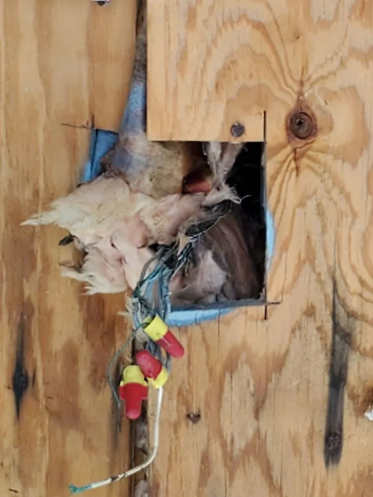 Trusted wiring installation in ,  by The Power House Electric Company