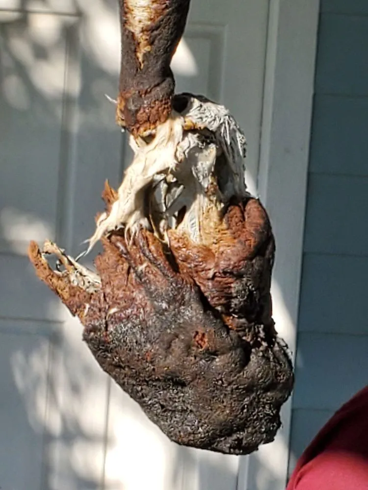 Slide of The Power House Electric Company