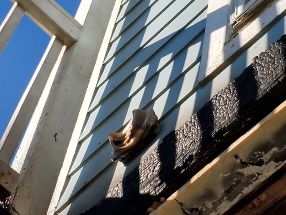 Slide of The Power House Electric Company