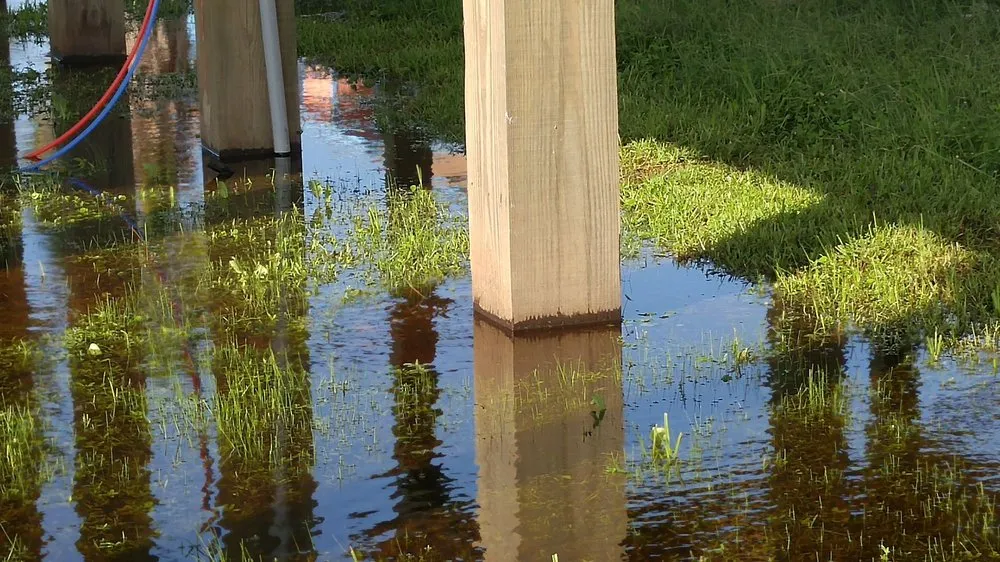 Slide of The Power House Electric Company