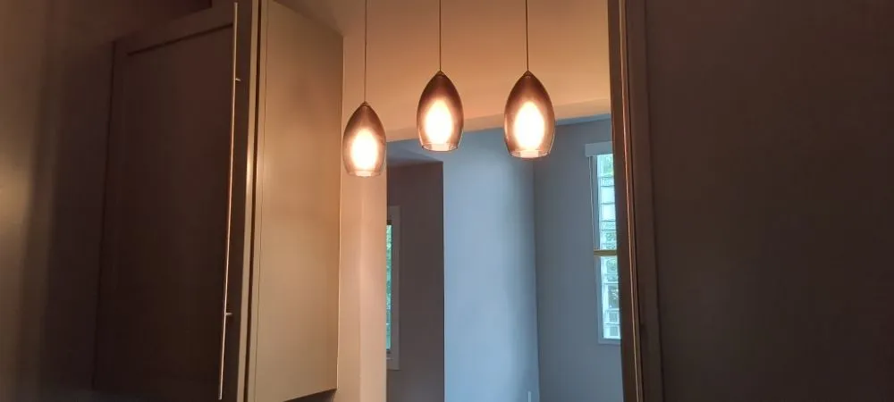 Slide of The Purple Wire Electric