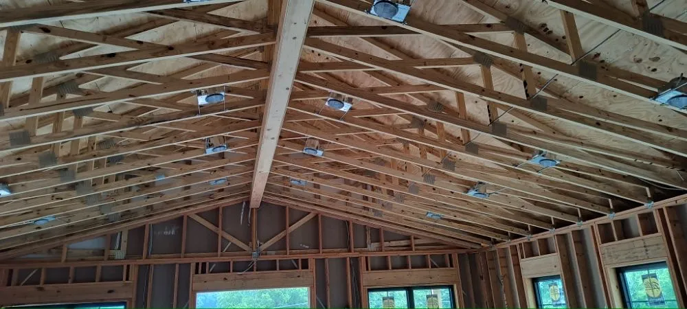 Slide of The Purple Wire Electric