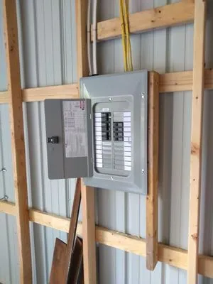 The Purple Wire Electric