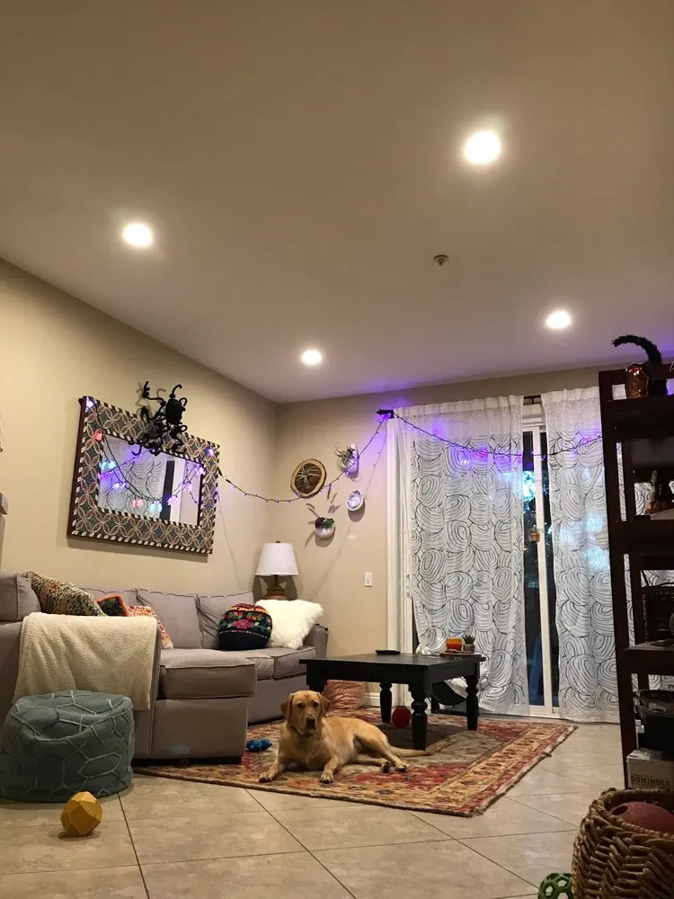 Slide of The Recessed Lighting Company