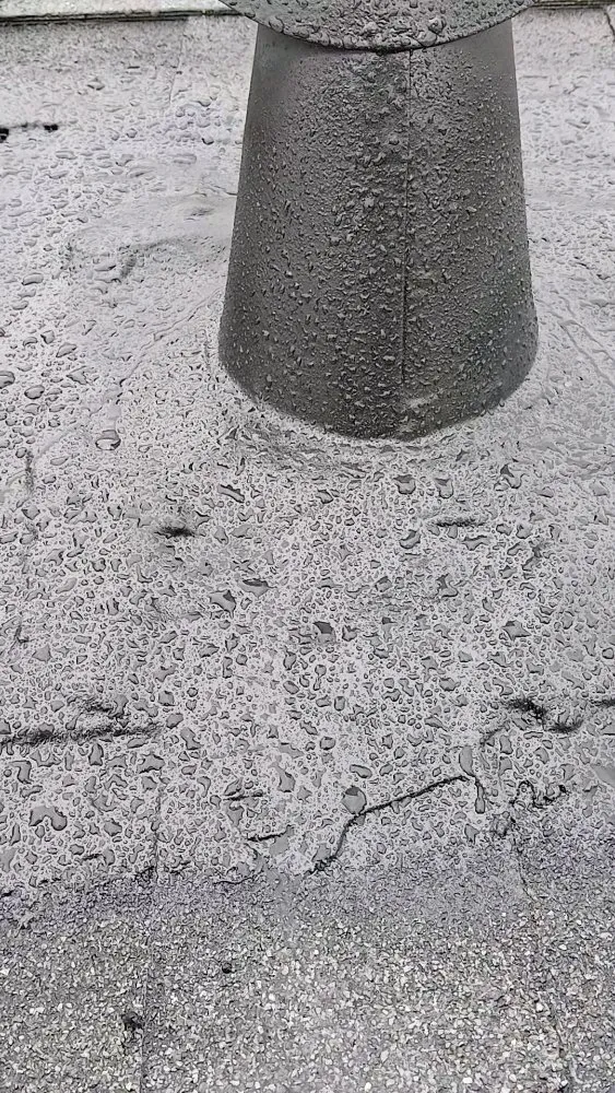 Slide of The Response Team