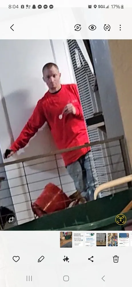 Slide of The Spark Shark