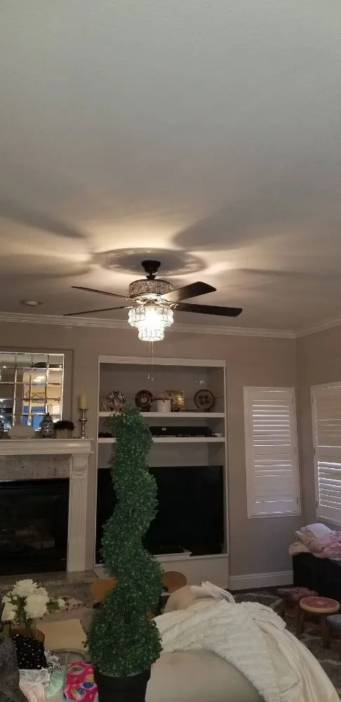 Slide of The Spark Shark