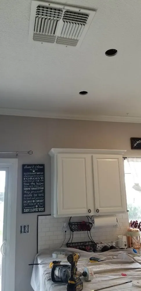 Slide of The Spark Shark