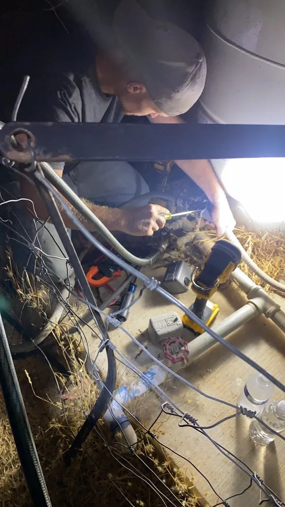 Slide of The Spark Shark