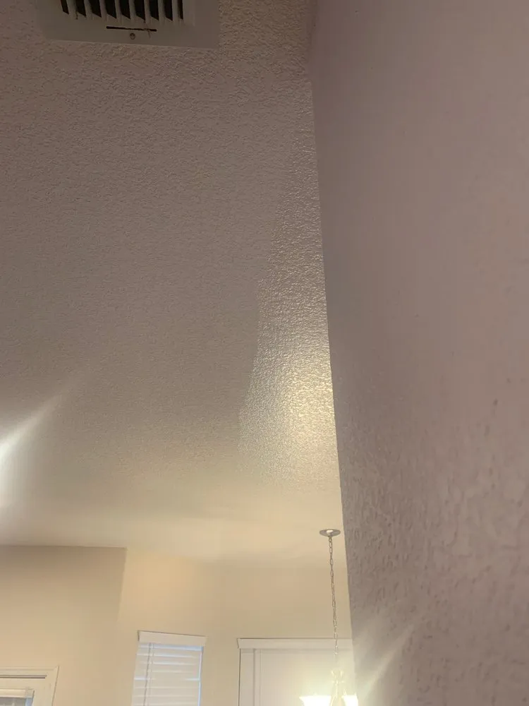 Slide of The Spark Shark