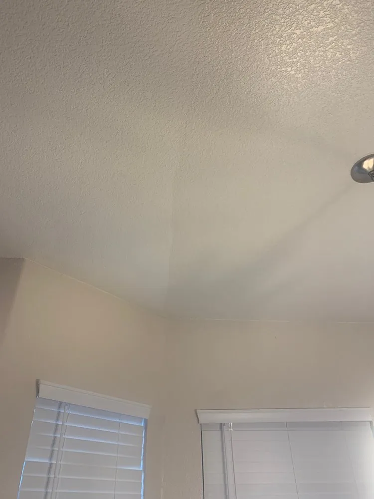 Slide of The Spark Shark