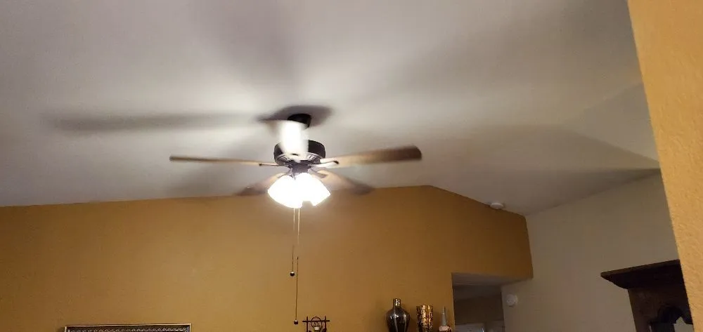 Slide of The Spark Shark