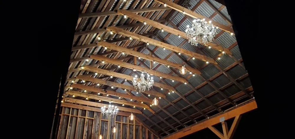 Slide of The Spark Shark