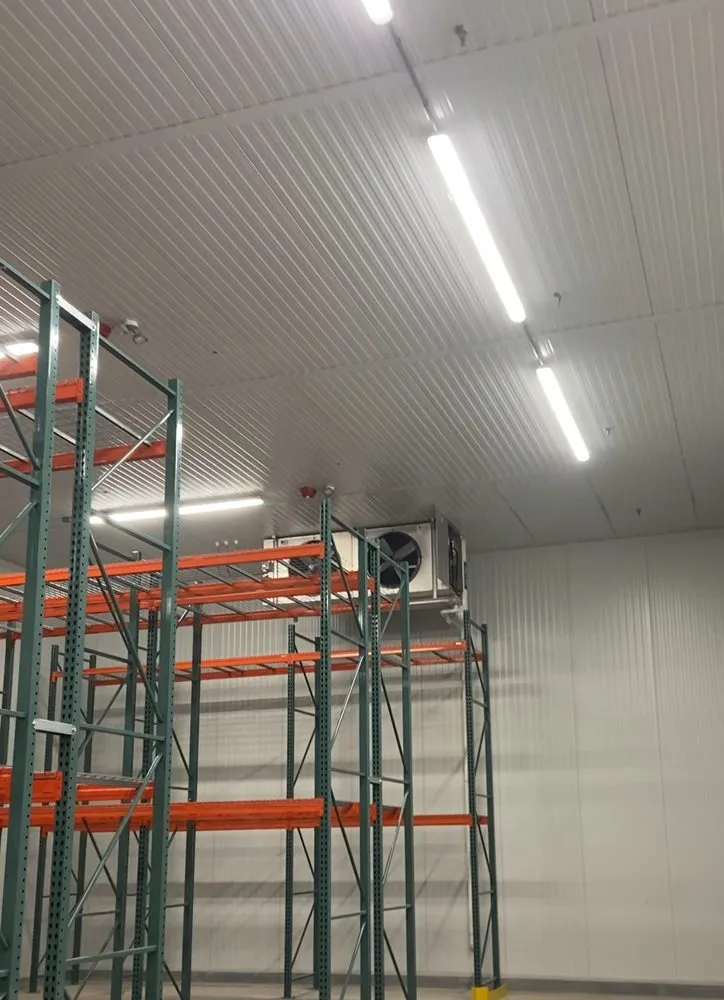 Slide of The Speedy Sparky