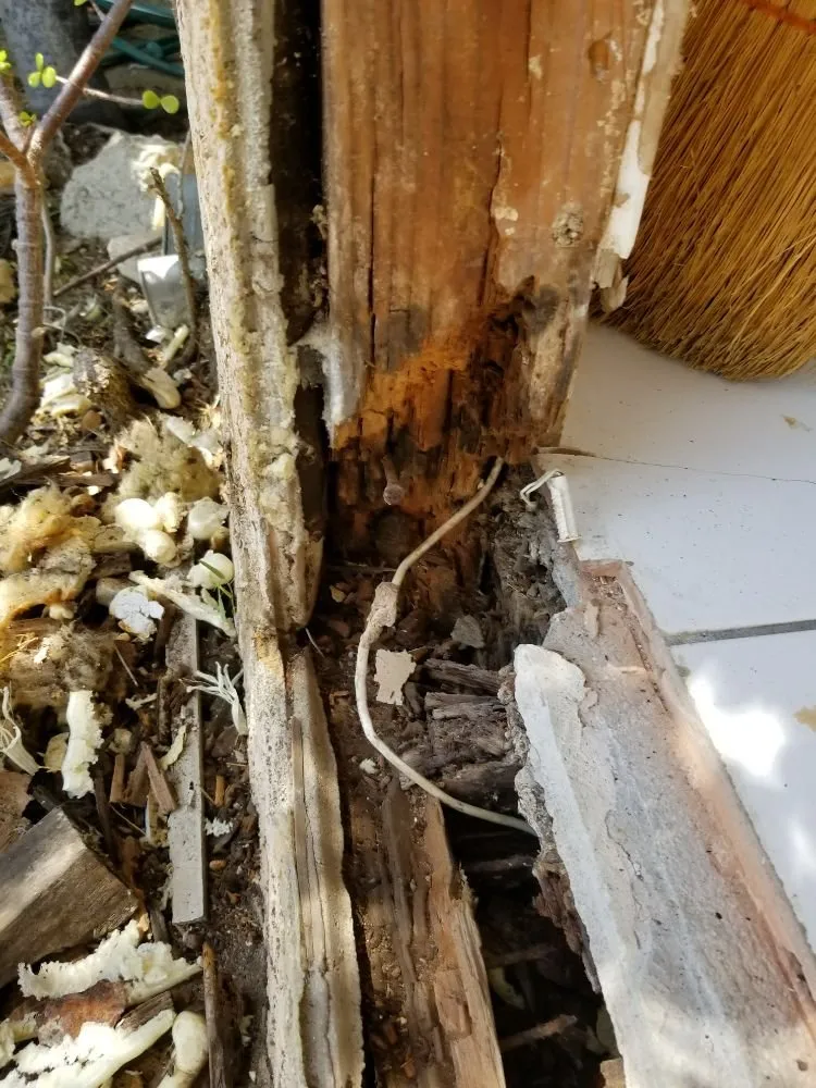 Emergency panel upgrade experts serving , - The Thinking Man's Handyman