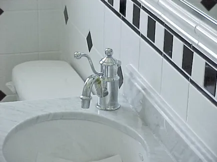 Slide of The Water Closet