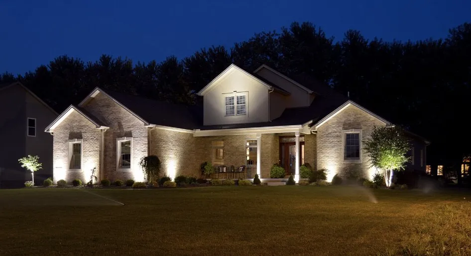 Slide of The Wire Doctors