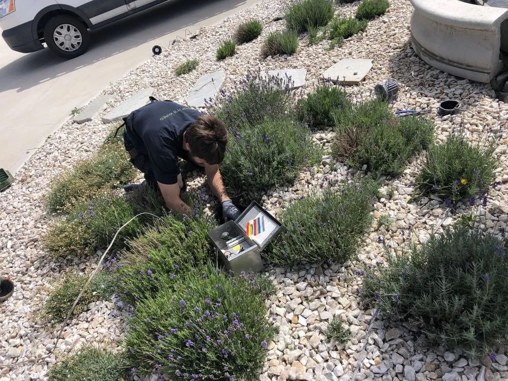 Slide of The Wire Ninja