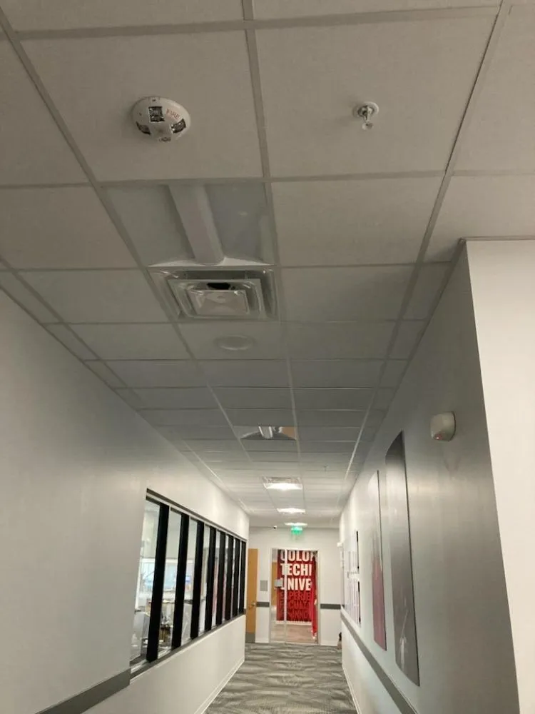 Slide of The Wire Wizards