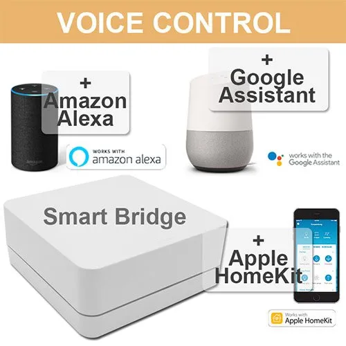 Slide of The Wirenut