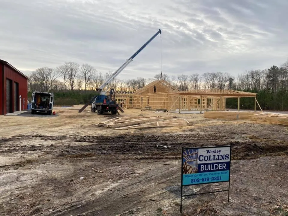 Slide of The Wirenut